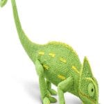 Veiled Chameleon: A Colorful and Captivating Reptile Companion Veiled Chameleon