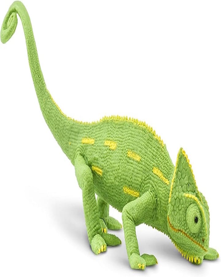 Veiled Chameleon