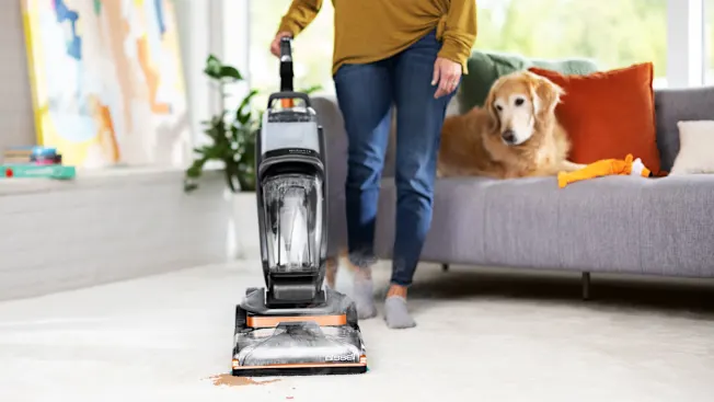 Rent Machine to Clean the Carpet